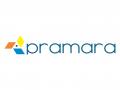 NSE EMERGE-listed Pramara Promotions Secures Strategic Partnership with Japan's Sega to Bring Globally Recognized Licensed Products to India - Hindi News | NSE EMERGE-listed Pramara Promotions Secures Strategic Partnership with Japan's Sega to Bring Globally Recognized Licensed Products to India | Latest business News at Lokmattimes.com