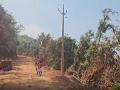 Chhattisgarh: Former Naxal stronghold Sukma's Gogunda gets electricity for 1st time since Independence - Hindi News | Chhattisgarh: Former Naxal stronghold Sukma's Gogunda gets electricity for 1st time since Independence | Latest national News at Lokmattimes.com