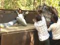 AAIB, DGCA teams examine Chatra air ambulance crash site; gather evidence - Hindi News | AAIB, DGCA teams examine Chatra air ambulance crash site; gather evidence | Latest national News at Lokmattimes.com