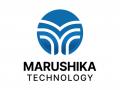 Marushika Technology Ltd Partners with Graymatics India to Expand AI Solutions - Hindi News | Marushika Technology Ltd Partners with Graymatics India to Expand AI Solutions | Latest business News at Lokmattimes.com