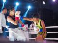 IIS' India knockout nights get a roaring response in Chandigarh - Hindi News | IIS' India knockout nights get a roaring response in Chandigarh | Latest other-sports News at Lokmattimes.com