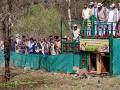 MP: 9 Cheetahs from Botswana released at Kuno National Park in Sheopur, India's Cheetah population rises to 48 - Hindi News | MP: 9 Cheetahs from Botswana released at Kuno National Park in Sheopur, India's Cheetah population rises to 48 | Latest national News at Lokmattimes.com