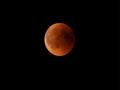 India set to witness total lunar eclipse tomorrow, confirms IMD - Hindi News | India set to witness total lunar eclipse tomorrow, confirms IMD | Latest national News at Lokmattimes.com