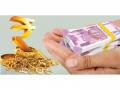 When Emergency Expenses Strike, a Gold Loan Can Be Your Quick Financial Backup - Hindi News | When Emergency Expenses Strike, a Gold Loan Can Be Your Quick Financial Backup | Latest business News at Lokmattimes.com
