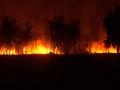 Fire breaks out in grassy area of Indore Airport; no effect on flight operations - Hindi News | Fire breaks out in grassy area of Indore Airport; no effect on flight operations | Latest national News at Lokmattimes.com