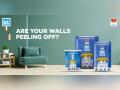 Ever Wonder Why Fresh Paint Starts Peeling? Your Walls Might Be Fine but Are They Built to Last? - Hindi News | Ever Wonder Why Fresh Paint Starts Peeling? Your Walls Might Be Fine but Are They Built to Last? | Latest business News at Lokmattimes.com