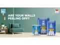 Ever Wonder Why Fresh Paint Starts Peeling? Your Walls Might Look Fine--But Are They Built to Last? - Hindi News | Ever Wonder Why Fresh Paint Starts Peeling? Your Walls Might Look Fine--But Are They Built to Last? | Latest business News at Lokmattimes.com