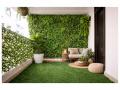 Transforming Small Balconies into Green Retreats: Simple Ideas for a Mini Garden - Hindi News | Transforming Small Balconies into Green Retreats: Simple Ideas for a Mini Garden | Latest business News at Lokmattimes.com