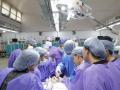 Thane-Mumbai green corridor enables quick delivery of transplant organs; 26 km covered in 30 mins - Hindi News | Thane-Mumbai green corridor enables quick delivery of transplant organs; 26 km covered in 30 mins | Latest national News at Lokmattimes.com