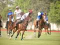 Carlos Gracida Memorial Cup: Jindal Panther outclass Youngsters 10-4 in their opening game - Hindi News | Carlos Gracida Memorial Cup: Jindal Panther outclass Youngsters 10-4 in their opening game | Latest other-sports News at Lokmattimes.com