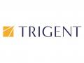 Trigent and Codec Partner to Launch Global Capability Centres in Bengaluru and Hyderabad - Hindi News | Trigent and Codec Partner to Launch Global Capability Centres in Bengaluru and Hyderabad | Latest business News at Lokmattimes.com