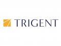 Trigent and Codec Partner to Launch Global Capability Centres in Bengaluru and Hyderabad - Hindi News | Trigent and Codec Partner to Launch Global Capability Centres in Bengaluru and Hyderabad | Latest business News at Lokmattimes.com
