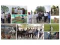 PwC India Foundation strengthens climate Resilient Livelihoods for more than 400 Farming Households through Flood Recovery Initiatives - Hindi News | PwC India Foundation strengthens climate Resilient Livelihoods for more than 400 Farming Households through Flood Recovery Initiatives | Latest business News at Lokmattimes.com