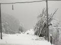 Uttarakhand: State Emergency Operations Centre issues snowfall, avalanche alert for high-altitude areas - Hindi News | Uttarakhand: State Emergency Operations Centre issues snowfall, avalanche alert for high-altitude areas | Latest national News at Lokmattimes.com
