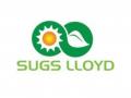 SUGS Lloyd Wins RS.639 Crore Mega Order, Accelerating Scale and Revenue Visibility - Hindi News | SUGS Lloyd Wins RS.639 Crore Mega Order, Accelerating Scale and Revenue Visibility | Latest business News at Lokmattimes.com