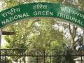 NGT orders probe into illegal Yamuna mining, directs immediate halt - Hindi News | NGT orders probe into illegal Yamuna mining, directs immediate halt | Latest national News at Lokmattimes.com