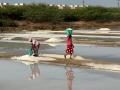 "Hard work, little return": Tamil Nadu's largest salt hub voices demand for higher relief amid election season - Hindi News | "Hard work, little return": Tamil Nadu's largest salt hub voices demand for higher relief amid election season | Latest national News at Lokmattimes.com