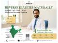 Ayurveda for Diabetes: What the Science Actually Says - Hindi News | Ayurveda for Diabetes: What the Science Actually Says | Latest business News at Lokmattimes.com