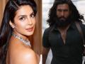 "Congratulations, mere dost...": Priyanka Chopra heaps praise on Ranveer Singh-starrer 'Dhurandhar: The Revenge' - Hindi News | "Congratulations, mere dost...": Priyanka Chopra heaps praise on Ranveer Singh-starrer 'Dhurandhar: The Revenge' | Latest entertainment News at Lokmattimes.com