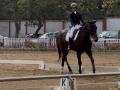 Delhi Horse Show 2026: Mumbai's Stasya Pandya clinches dual team medals - Hindi News | Delhi Horse Show 2026: Mumbai's Stasya Pandya clinches dual team medals | Latest other-sports News at Lokmattimes.com
