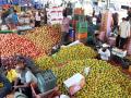 Edible oils, industry essentials drive growth outlook; FMCG recovery gradual, says Report - Hindi News | Edible oils, industry essentials drive growth outlook; FMCG recovery gradual, says Report | Latest business News at Lokmattimes.com