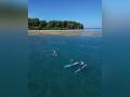 Little Andaman Pro 2026 signals rise of Andaman & Nicobar Islands as India's next surfing hub - Hindi News | Little Andaman Pro 2026 signals rise of Andaman & Nicobar Islands as India's next surfing hub | Latest other-sports News at Lokmattimes.com