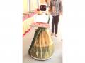 Puducherry Assembly elections 2026: Saree-clad robot 'Nila' welcomes voters at polling booth - Hindi News | Puducherry Assembly elections 2026: Saree-clad robot 'Nila' welcomes voters at polling booth | Latest politics News at Lokmattimes.com