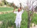 Jammu and Kashmir: 60-year-old farmer transforms six kanals into thriving apple hub - Hindi News | Jammu and Kashmir: 60-year-old farmer transforms six kanals into thriving apple hub | Latest national News at Lokmattimes.com