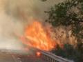 Delhi: Fire in bushes near Rajghat Bus Depot, no casualties reported - Hindi News | Delhi: Fire in bushes near Rajghat Bus Depot, no casualties reported | Latest national News at Lokmattimes.com
