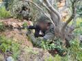 Israeli forces attack Hezbollah terror infrastructure in Southern Lebanon, eliminate terrorists - Hindi News | Israeli forces attack Hezbollah terror infrastructure in Southern Lebanon, eliminate terrorists | Latest international News at Lokmattimes.com