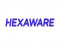 Hexaware Brings Back Chennai's Favorite Half Marathon - Hindi News | Hexaware Brings Back Chennai's Favorite Half Marathon | Latest business News at Lokmattimes.com