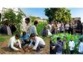 25,000+ Farmers, 84,000+ Farming Interventions: How GNFC is Shaping the Future of Agriculture in Gujarat - Hindi News | 25,000+ Farmers, 84,000+ Farming Interventions: How GNFC is Shaping the Future of Agriculture in Gujarat | Latest business News at Lokmattimes.com