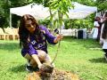 KKR co-owner Juhi Chawla Mehta kickstarts this year's 'Runs to Roots' initiative, pledging 10 trees per run - Hindi News | KKR co-owner Juhi Chawla Mehta kickstarts this year's 'Runs to Roots' initiative, pledging 10 trees per run | Latest cricket News at Lokmattimes.com