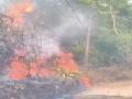 Fire breaks out at Keralam's Malayinkeezhu, fire tenders rush to spot - Hindi News | Fire breaks out at Keralam's Malayinkeezhu, fire tenders rush to spot | Latest national News at Lokmattimes.com