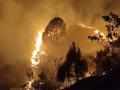 Uttarakhand: 20 forest fire incidents reported in Rudraprayag, 15 hectares affected - Hindi News | Uttarakhand: 20 forest fire incidents reported in Rudraprayag, 15 hectares affected | Latest national News at Lokmattimes.com