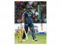 "He certainly did his part....": Bishop on GT opener Sudharsan's ton against RCB - Hindi News | "He certainly did his part....": Bishop on GT opener Sudharsan's ton against RCB | Latest cricket News at Lokmattimes.com