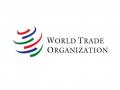WTO dispute settlement paralysis, evolving trade challenges in focus at CTIL-SAIELN Virtual Trade Talk - Hindi News | WTO dispute settlement paralysis, evolving trade challenges in focus at CTIL-SAIELN Virtual Trade Talk | Latest business News at Lokmattimes.com