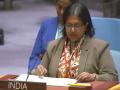 India urges safe maritime passage, stronger global coordination at UNSC debate on waterways security - Hindi News | India urges safe maritime passage, stronger global coordination at UNSC debate on waterways security | Latest international News at Lokmattimes.com