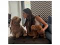 Ananya Panday shares adorable pictures with her pet dogs - Hindi News | Ananya Panday shares adorable pictures with her pet dogs | Latest entertainment News at Lokmattimes.com
