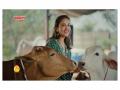 Kapila Reframes Summer as 'Tayyari Ka Mausam' to Drive Dairy Farmer Preparedness - Hindi News | Kapila Reframes Summer as 'Tayyari Ka Mausam' to Drive Dairy Farmer Preparedness | Latest business News at Lokmattimes.com