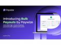 Introducing Bulk Payouts by Paywize - Automate High-Volume Business Payments with Speed and Control - Hindi News | Introducing Bulk Payouts by Paywize - Automate High-Volume Business Payments with Speed and Control | Latest business News at Lokmattimes.com