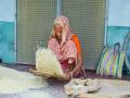 Pilibhit in UP to get India's first integrated Basmati, organic training-cum-demo farm - Hindi News | Pilibhit in UP to get India's first integrated Basmati, organic training-cum-demo farm | Latest business News at Lokmattimes.com