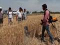 Stubble burning gets a smart solution in Uttar Pradesh - Hindi News | Stubble burning gets a smart solution in Uttar Pradesh | Latest national News at Lokmattimes.com