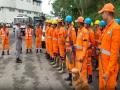 Nagaland conducts 8th Emergency Preparedness Exercise NEPEX 2026 - Hindi News | Nagaland conducts 8th Emergency Preparedness Exercise NEPEX 2026 | Latest national News at Lokmattimes.com