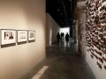 Jury of 61st International Art exhibition La Biennale di Venezia quits amid row over Russia participation - Hindi News | Jury of 61st International Art exhibition La Biennale di Venezia quits amid row over Russia participation | Latest international News at Lokmattimes.com