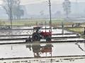 Domestic demand drives April growth for Eicher, Escorts Kubota; exports show mixed trend - Hindi News | Domestic demand drives April growth for Eicher, Escorts Kubota; exports show mixed trend | Latest business News at Lokmattimes.com