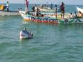 Tamil Nadu: Lord Shiva's net-casting ritual draws devotees in Ramanathapuram on Chitra Pournami - Hindi News | Tamil Nadu: Lord Shiva's net-casting ritual draws devotees in Ramanathapuram on Chitra Pournami | Latest national News at Lokmattimes.com