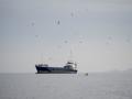 Second Iranian supertanker evades US Navy blockade to reach Indonesian waters, says TankerTrackers - Hindi News | Second Iranian supertanker evades US Navy blockade to reach Indonesian waters, says TankerTrackers | Latest international News at Lokmattimes.com