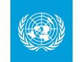UN panel urges countries to move beyond GDP as sole measure of progress - Hindi News | UN panel urges countries to move beyond GDP as sole measure of progress | Latest business News at Lokmattimes.com