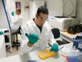 Scientists discover a new way to prevent gum disease without killing good bacteria: Study - Hindi News | Scientists discover a new way to prevent gum disease without killing good bacteria: Study | Latest health News at Lokmattimes.com